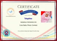 Locked Certificate Preview