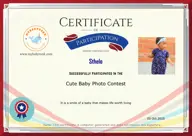 Locked Certificate Preview