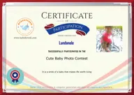 Locked Certificate Preview