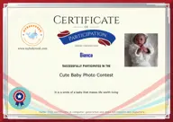 Locked Certificate Preview