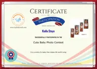 Locked Certificate Preview