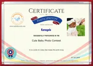 Locked Certificate Preview