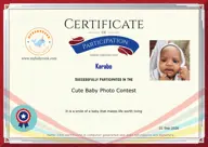 Locked Certificate Preview
