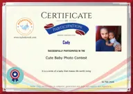 Locked Certificate Preview