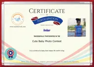 Locked Certificate Preview