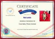 Locked Certificate Preview