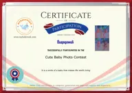 Locked Certificate Preview