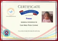 Locked Certificate Preview