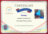 Locked Certificate Preview