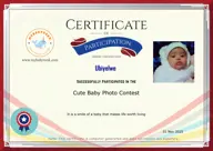Locked Certificate Preview