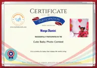 Locked Certificate Preview