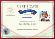 Locked Certificate Preview