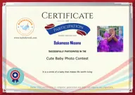 Locked Certificate Preview